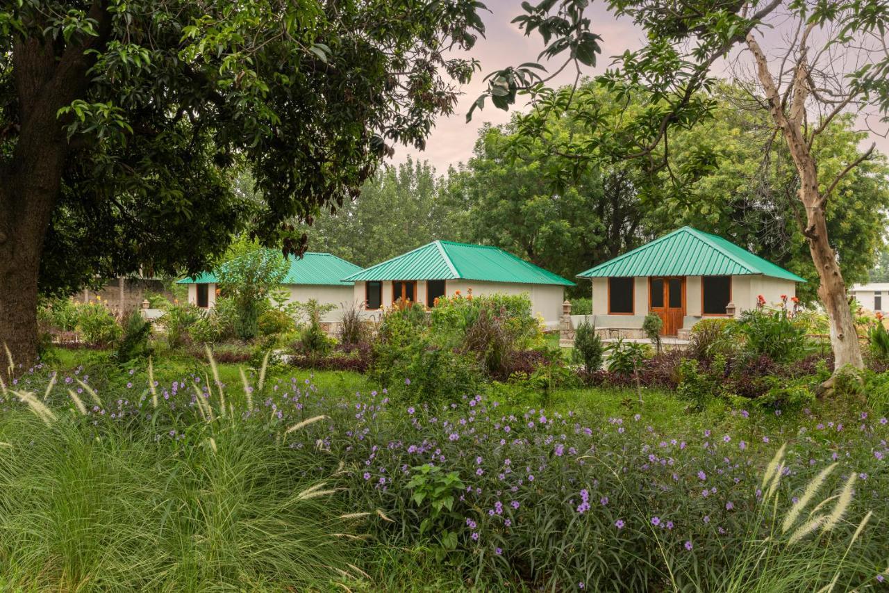 Zana Luxury Forest Resort, Ranthambore Sawai Madhopur Esterno foto