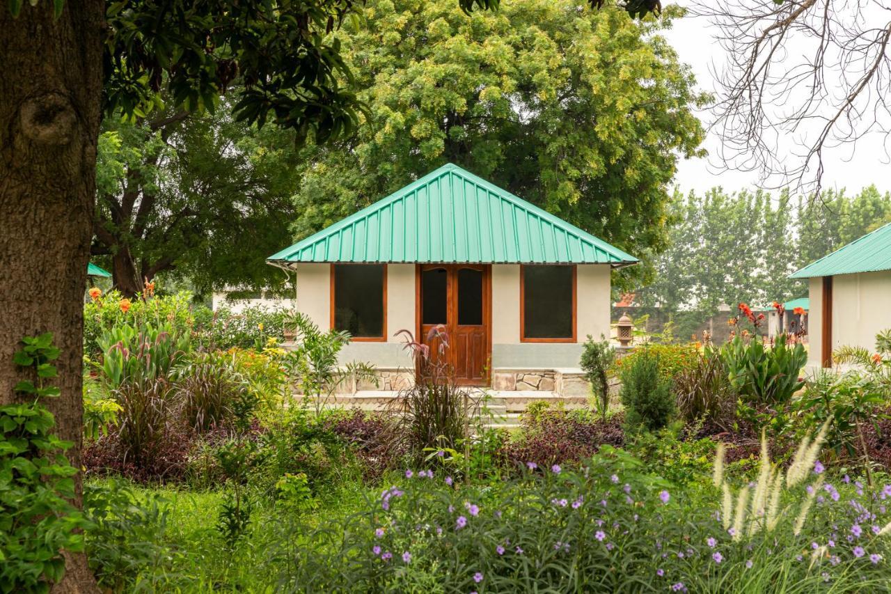 Zana Luxury Forest Resort, Ranthambore Sawai Madhopur Esterno foto