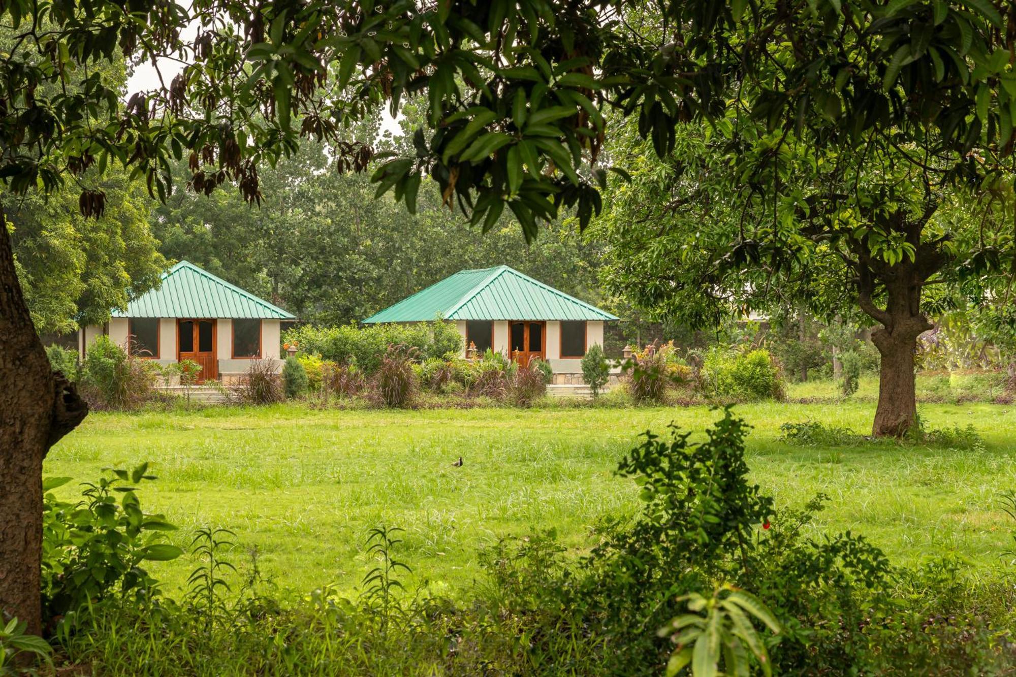 Zana Luxury Forest Resort, Ranthambore Sawai Madhopur Esterno foto
